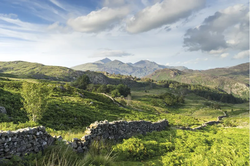 Cicerone - The Big Rounds - David Lintern-9